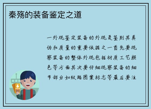 秦殇的装备鉴定之道